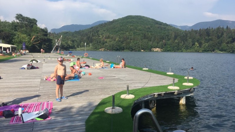 Fornitura e posa di erba decorativa al Lago di Monticolo (BZ)
