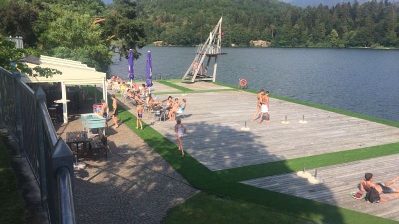 Fornitura e posa di erba decorativa al Lago di Monticolo (BZ)