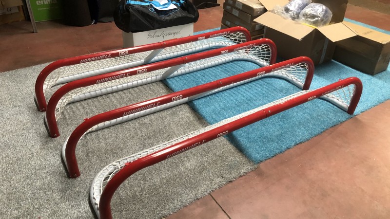 Pond hockey goals Raiffeisen Arena Kaltern