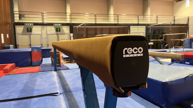 Replacement Balance Beam Covers at the Palasport Bolzano