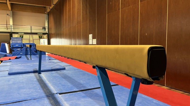 Sostituzione delle coperture dei travi di equilibrio Palasport Bolzano