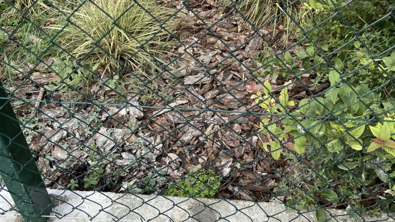 Basketball court Mezzolombardo