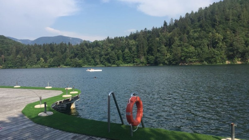 Fornitura e posa di erba decorativa al Lago di Monticolo (BZ)